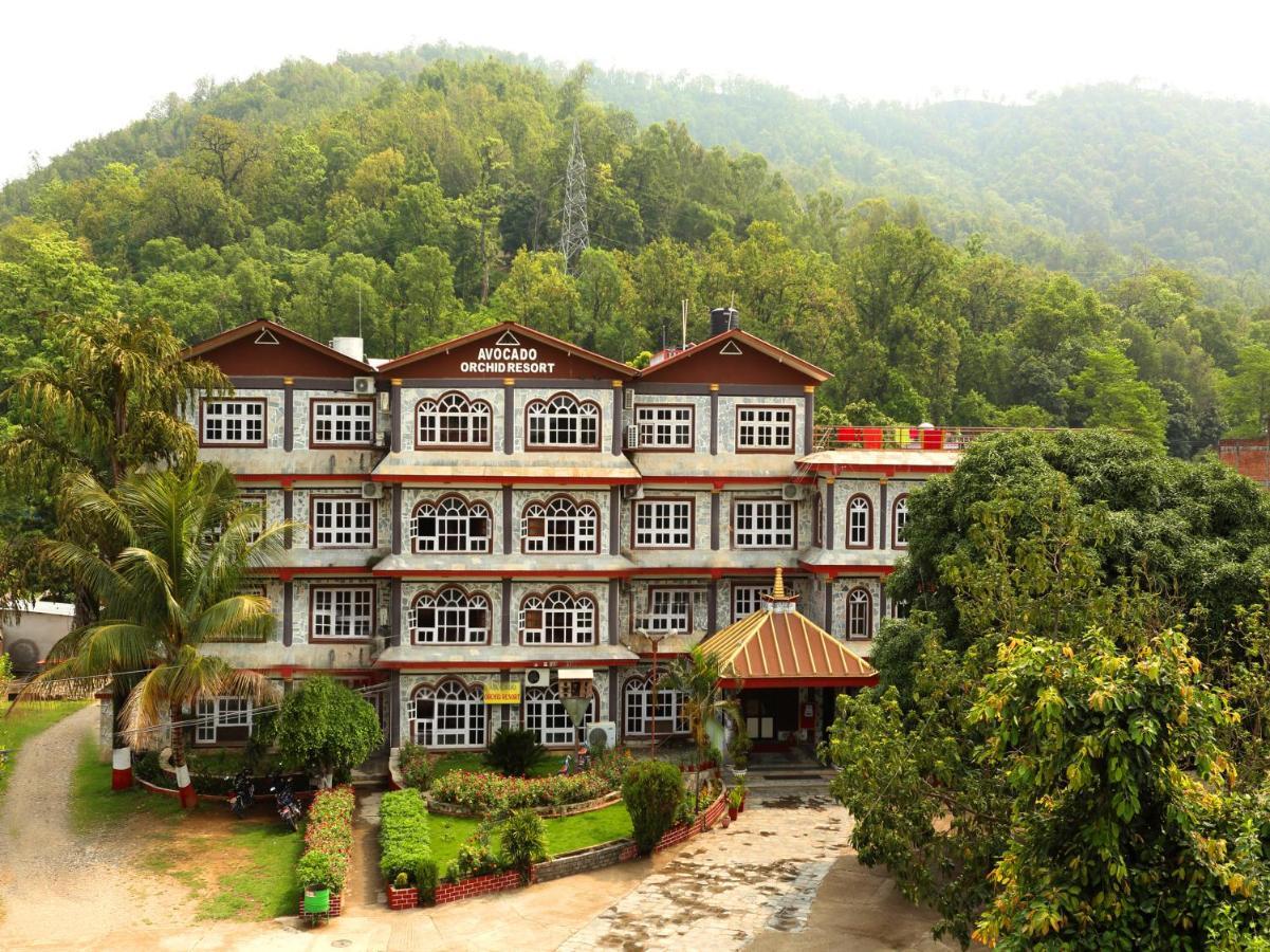 Avocado Orchid Resort Hetauda Exterior photo